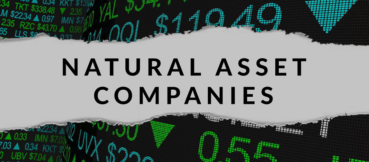 Natural Asset Companies - Everything you need to know!