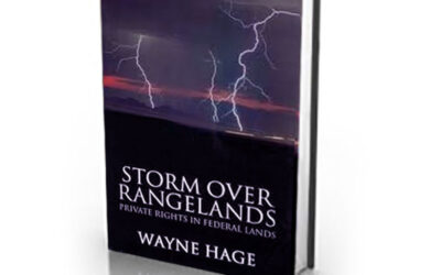 Storm Over Rangelandsby Wayne Hage