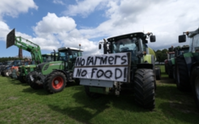 Netherland Farmers to be Removed from Land for Climate Industry Projects