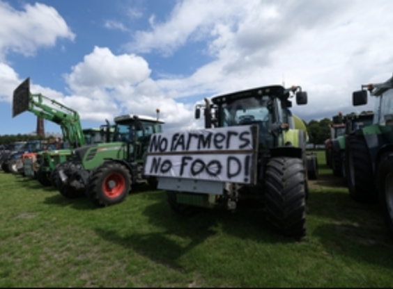 Netherland Farmers to be Removed from Land for Climate Industry Projects