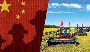 Growing Concerns of Farmland Purchases by China