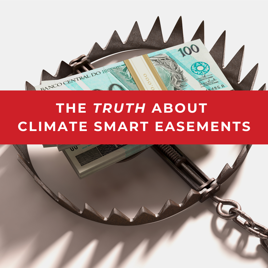 USDA’s Climate Smart Easements Advance 30×30
