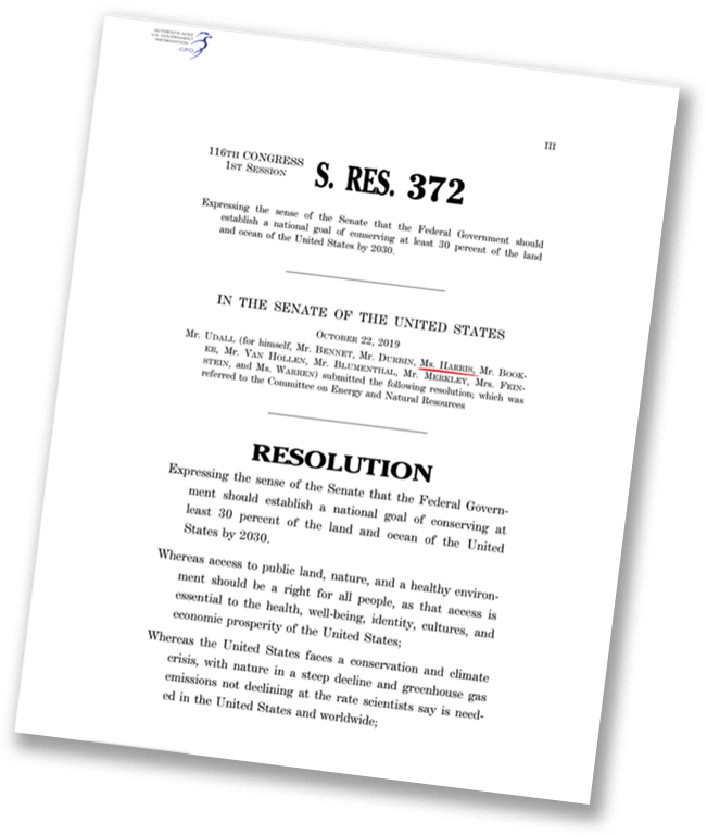 Senate Resolution 372