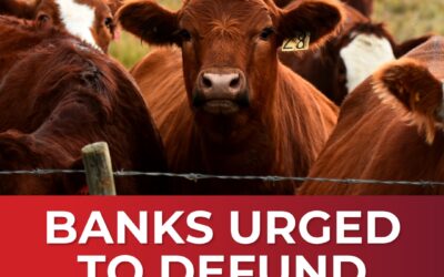 Major Banks Told to Stop Financing Livestock Industry