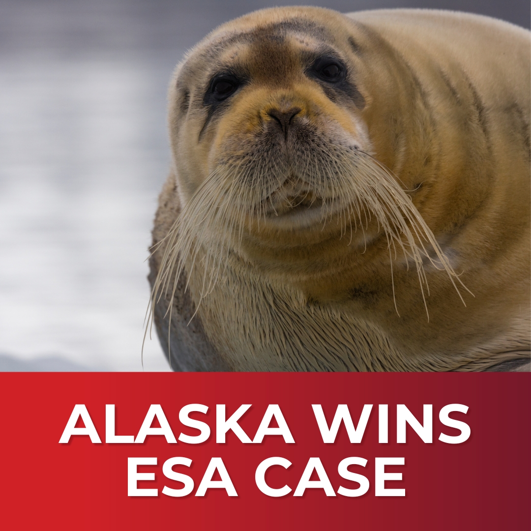 Alaska Proves Seal Critical Habitat Unlawful