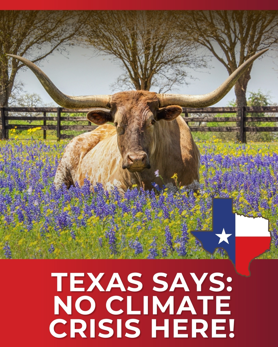 Texas and Climate Change: No Climate Crisis in the Lone Star State