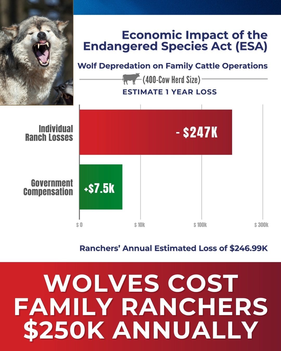 $250k Lost Annually by Family Ranchers with Wolves