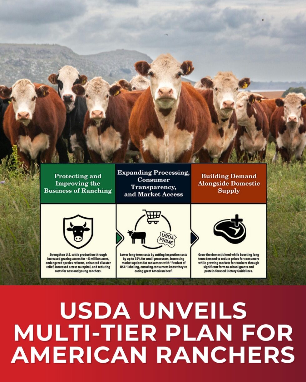 USDA announced an extensive multiple-tiered plan for American Ranchers ...