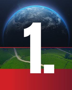 Stewarding Creation - Article 1