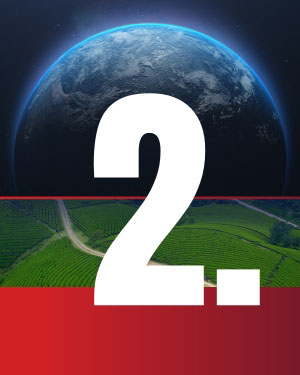 Stewarding Creation - Article 2