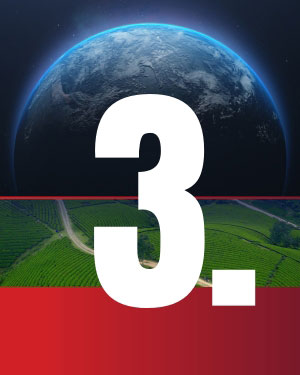 Stewarding Creation - Article 3