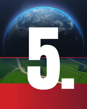 Stewarding Creation - Article 5