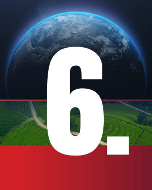 Stewarding Creation - Article 6