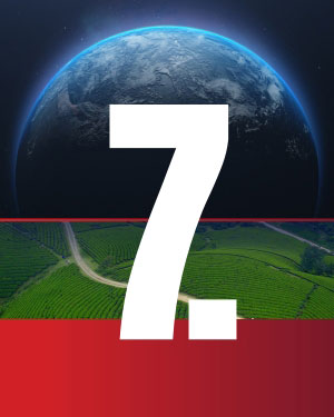 Stewarding Creation - Article 7