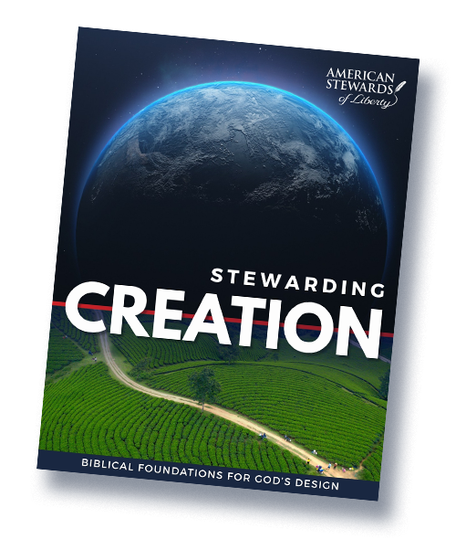 TPPF-1pgr-cvr Stewarding Creation