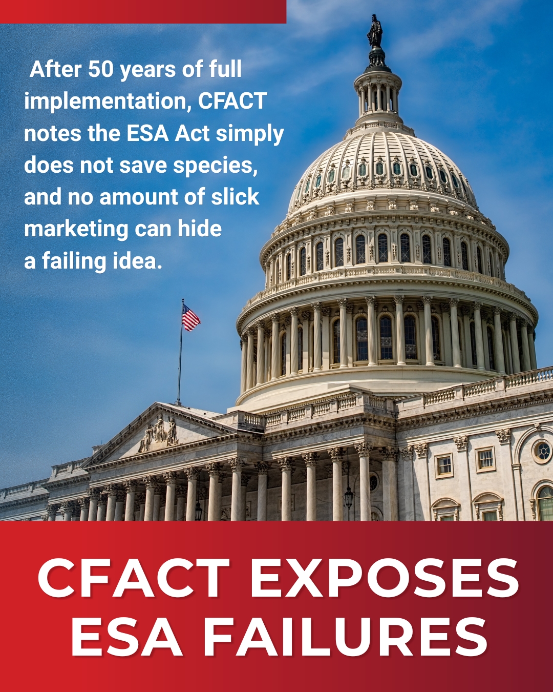 CFACT Exposes the Endangered Species Act – It Simply Does Not Work
