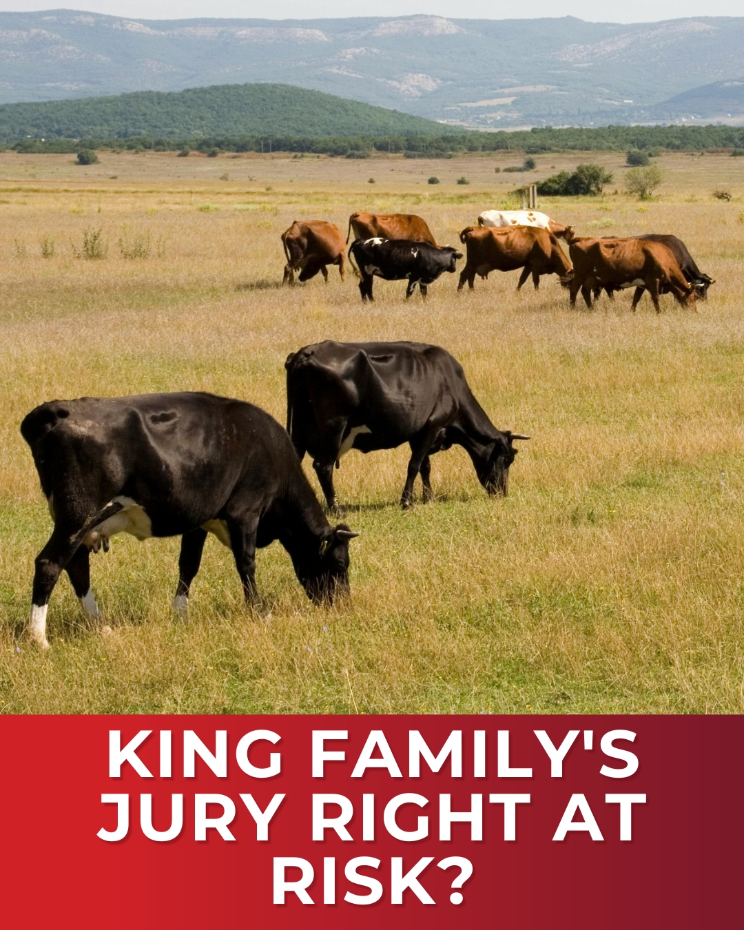 18 ASL_ King Family’s Jury Right at Risk_ 6_17