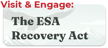 Visit the ESA Recovery site...