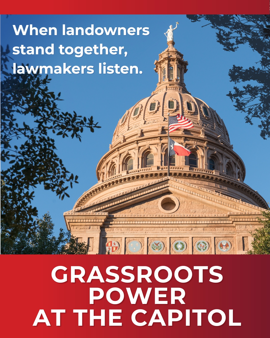 765 Faces The Power of the Grassroots