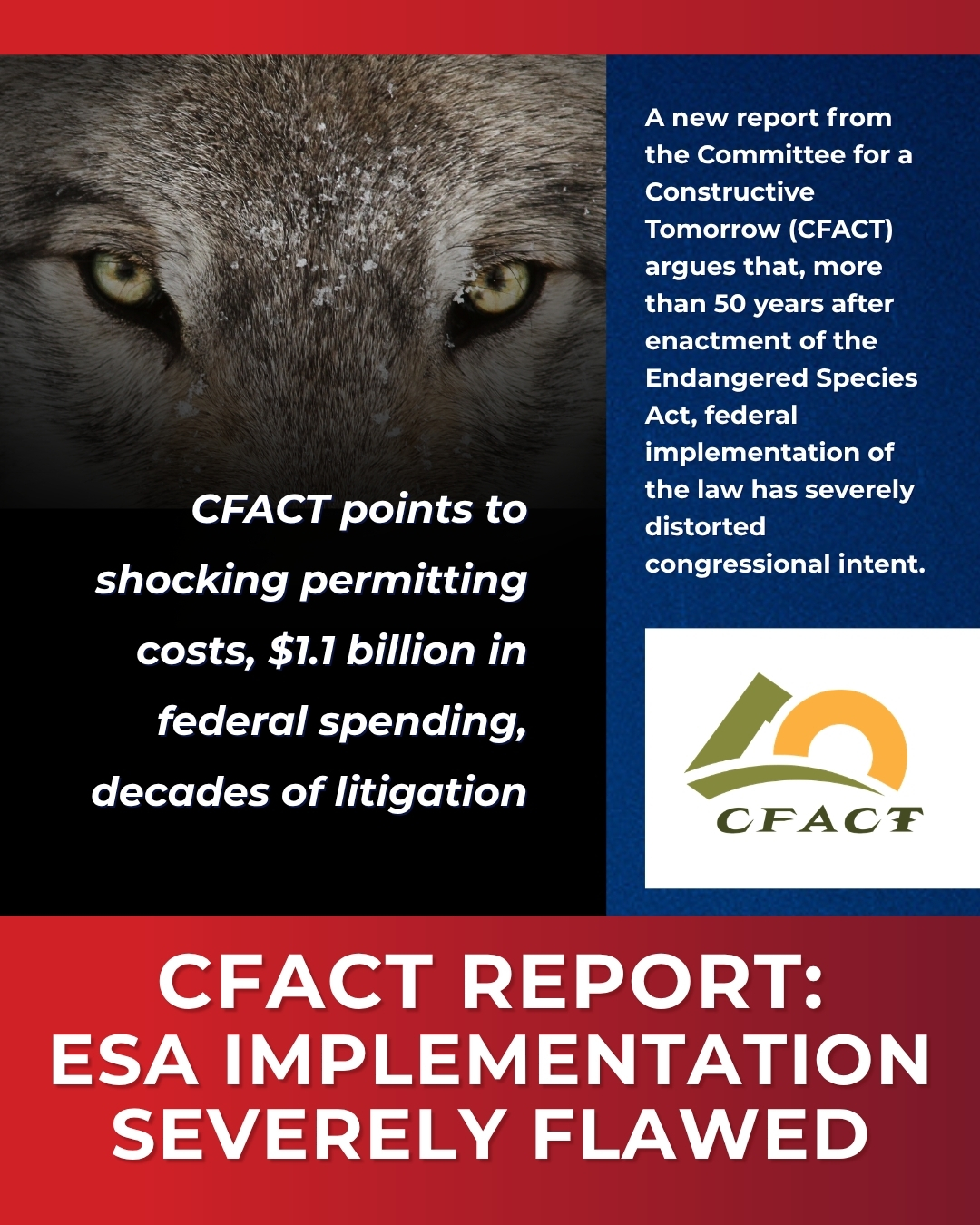 New CFACT Report: Endangered Species Act Implementation ‘Severely Flawed’