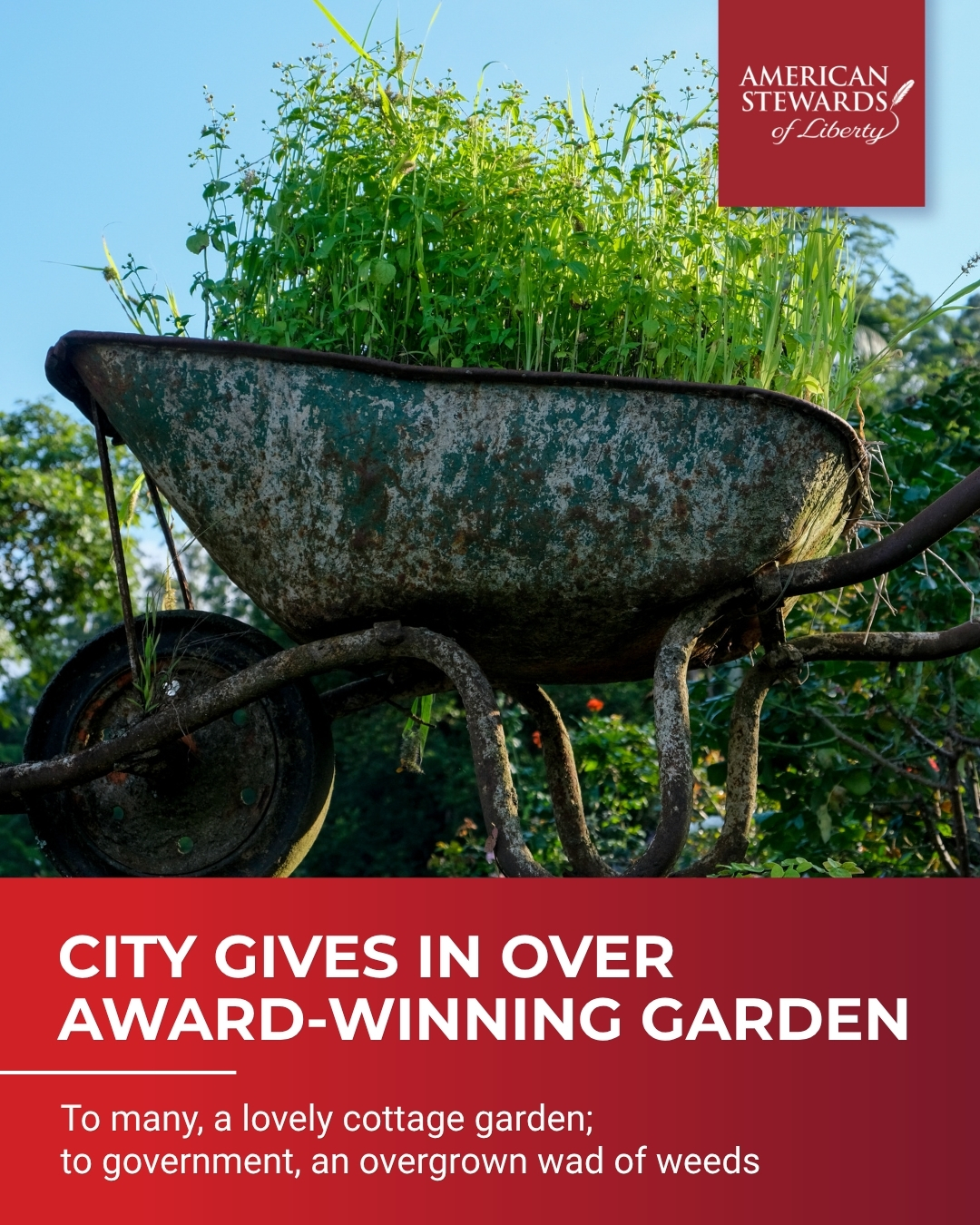 City Backs Down in Fight Over Award-Winning Garden